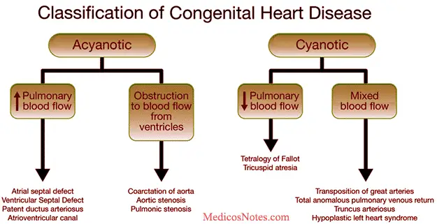 types of congenital heart disease ppt