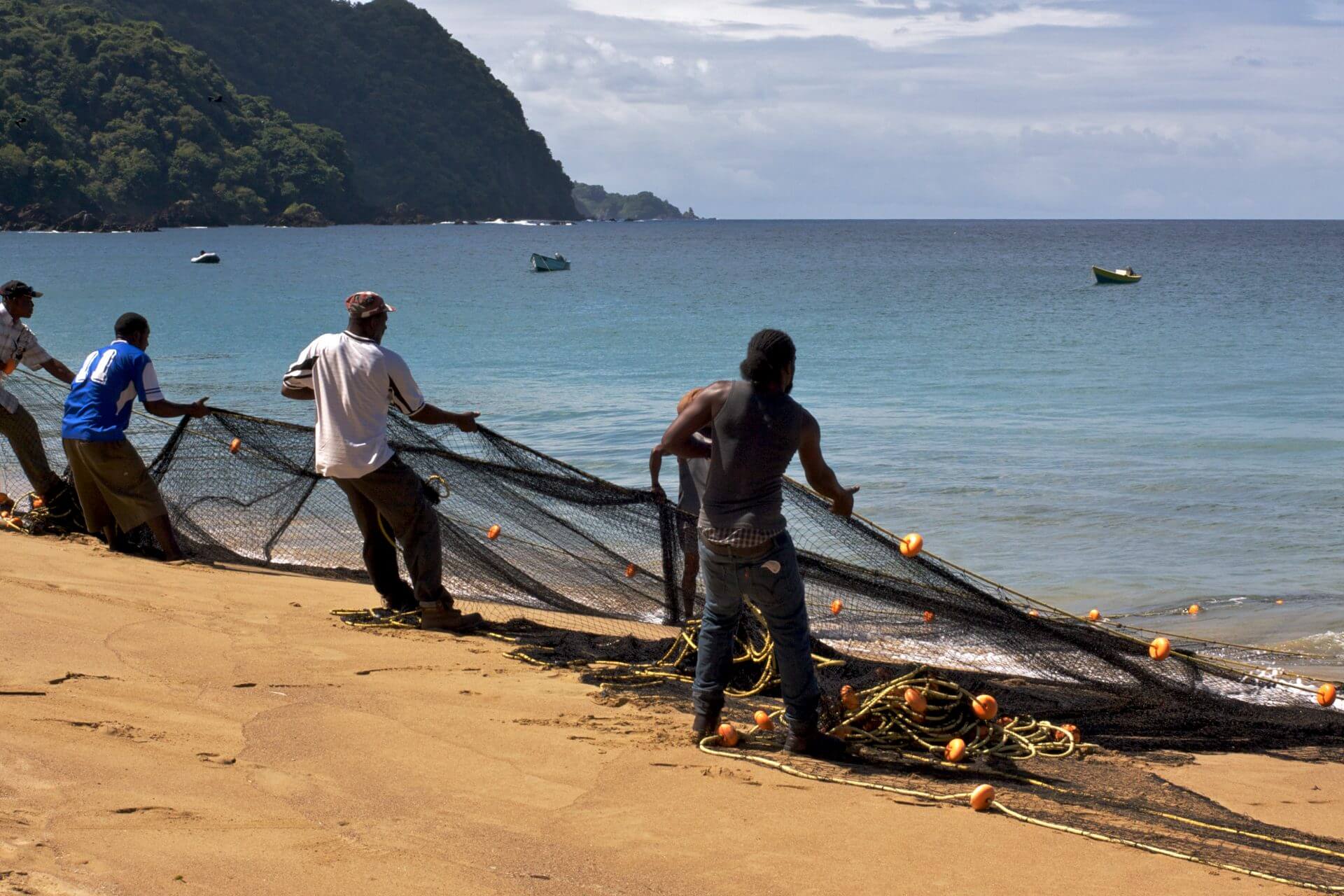 Heart Disease Prevalence in Trinidad and Tobago