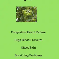 Arjuna is used for treating cardiovascular disorders such as high blood pressure, congestive heart failure, and chest pain.Arjuna is also used for respiratory problems, liver problems, and hemorrhoids.