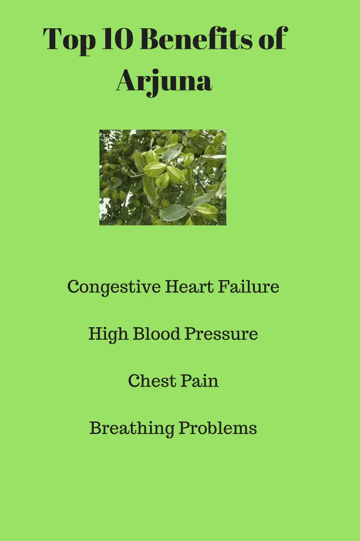 Arjuna is used for treating cardiovascular disorders such as high blood pressure, congestive heart failure, and chest pain.Arjuna is also used for respiratory problems, liver problems, and hemorrhoids.