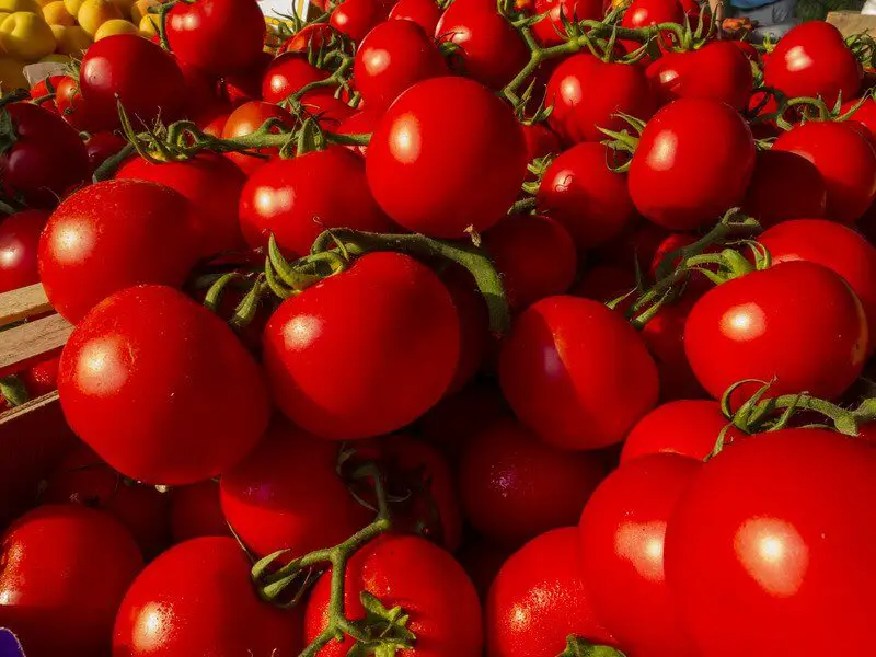 Lycopene helps prostate cancer