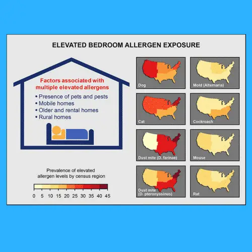 What Triggers Allergic Asthma and Non-Prescription Options for Asthma