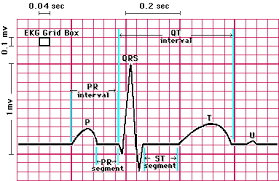 Congestive Heart Failure and Low Magnesium