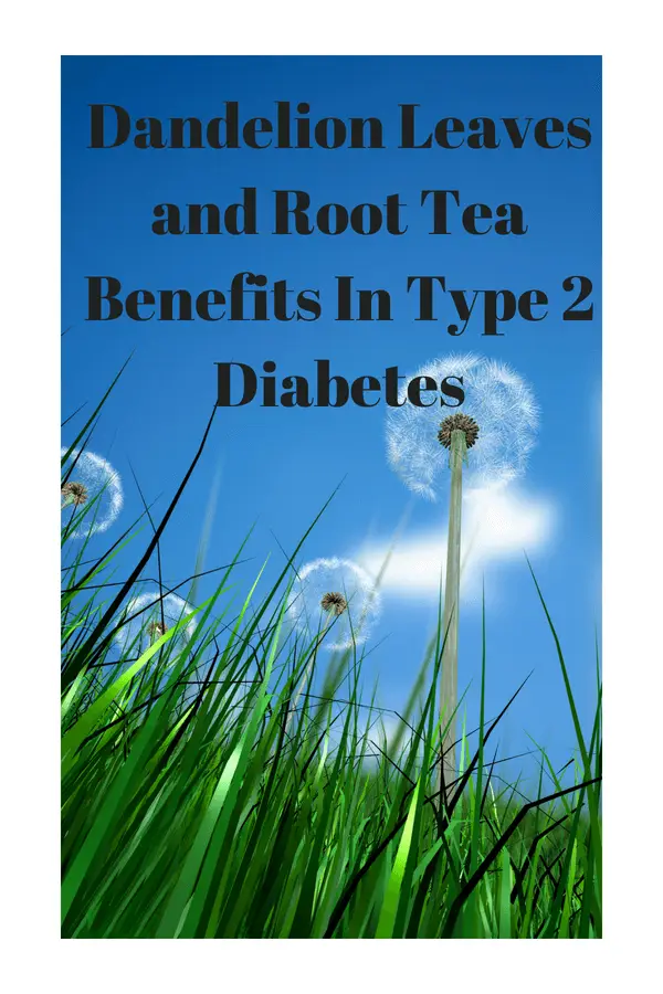 Dandelion Leaves and Root Tea Benefits In Type 2 Diabetes