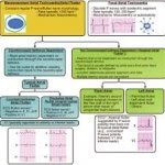 Algorithm Treatment of Atrial Flutter