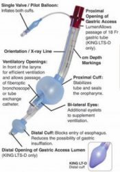 ETT tibe, endotracheal tube, endotracheal intubation