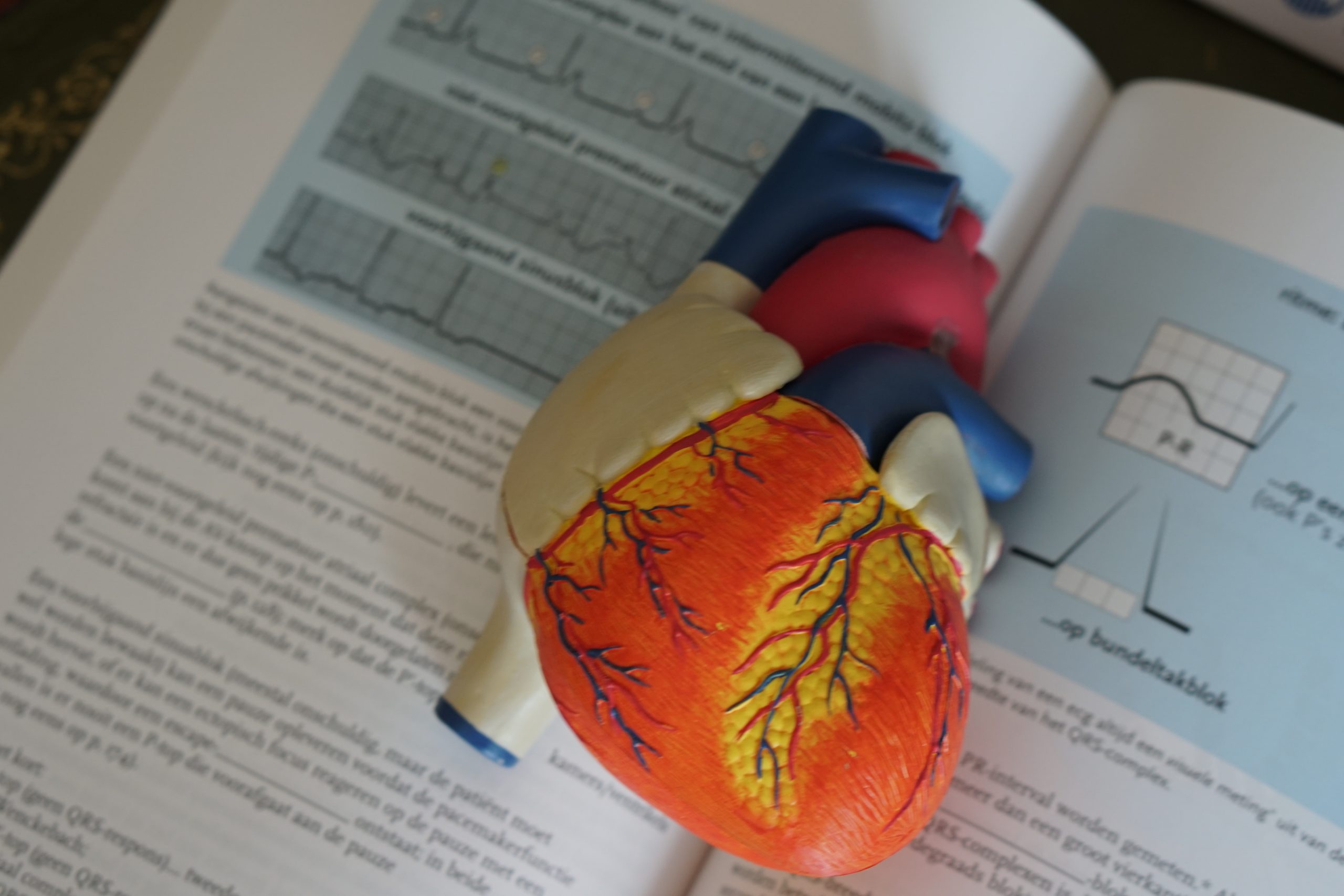 Troponin and heart disease