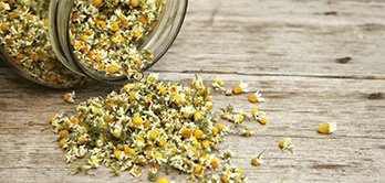 What is chamomile tea good for?