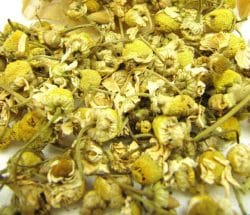 Advantages of chamomile tea