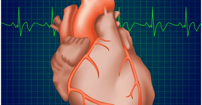 50 tips for healthy heart.