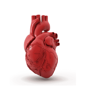 different types of stents