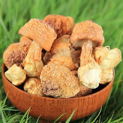 What is agaricus blazei good for?What is agaricus blazei mushroom?