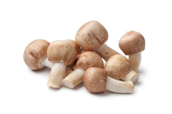 What is agaricus blazei good for?What is agaricus blazei mushroom? Benefits of Agaricus Blazei (Mushroom)