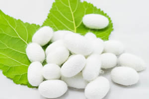 Can Serrapeptase cause high blood pressure?