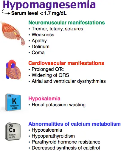 magnesium deficiency causes sudden death