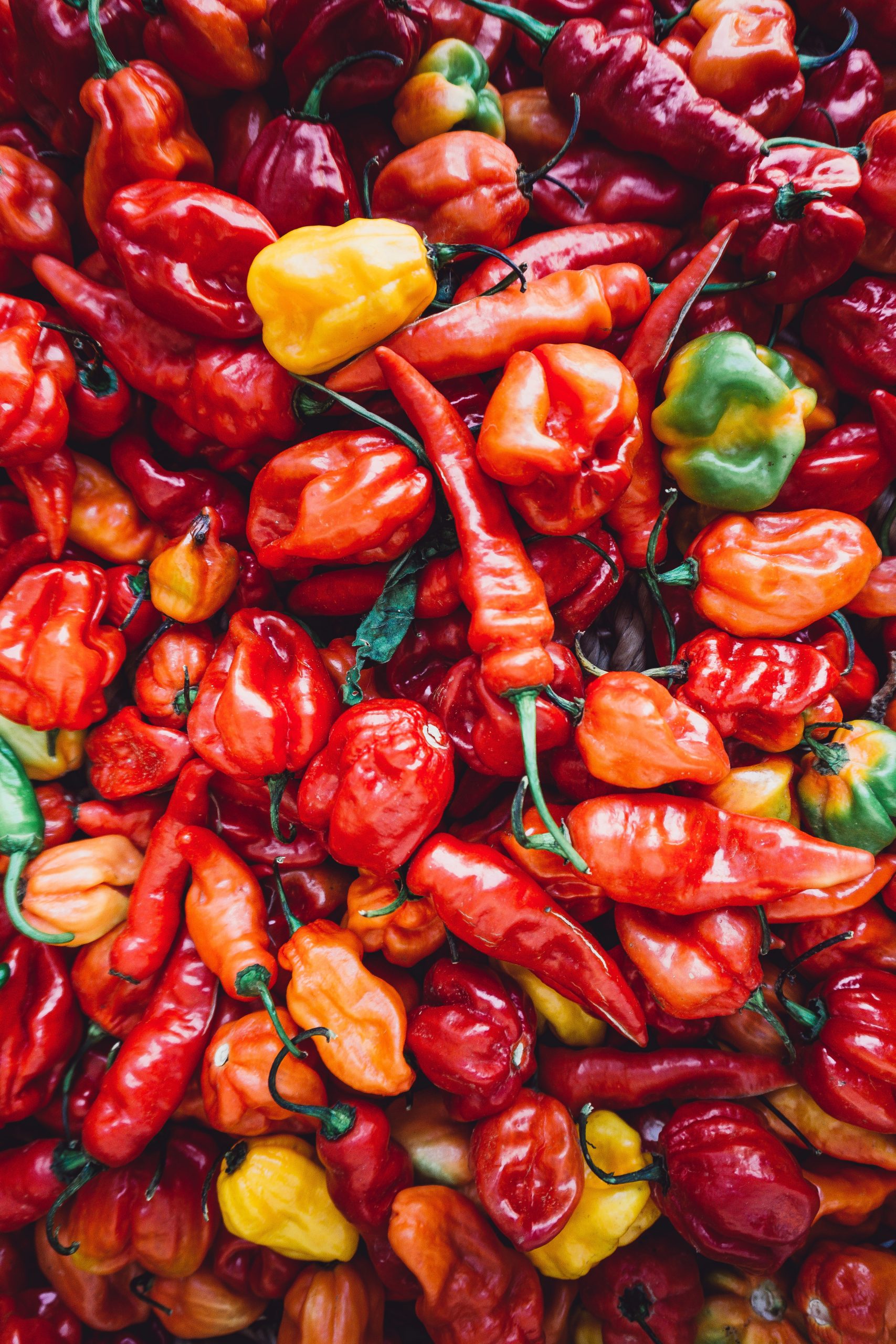 Eating chili peppers stops a heart attack.