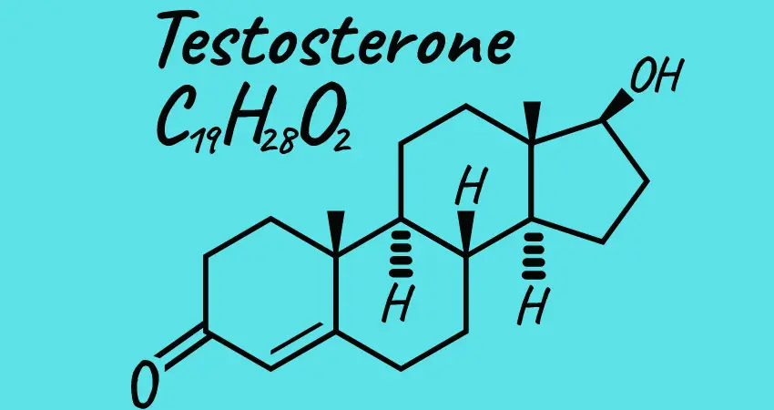 testosterone, kangaroo pills and danger