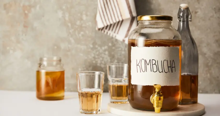 21 Kombucha benefits