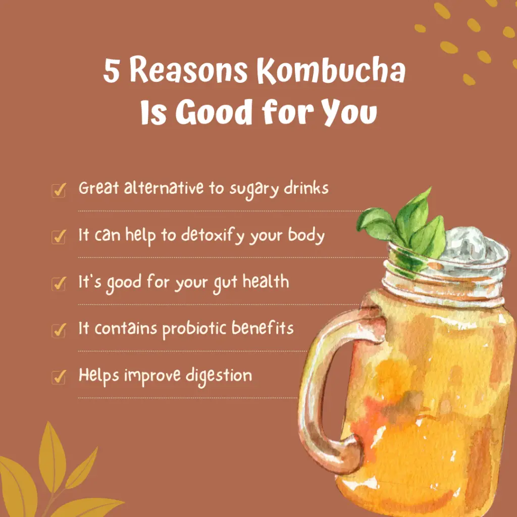 Kombucha benefits